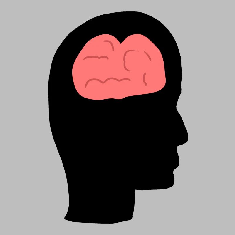 Head Profile Human People Side Brain