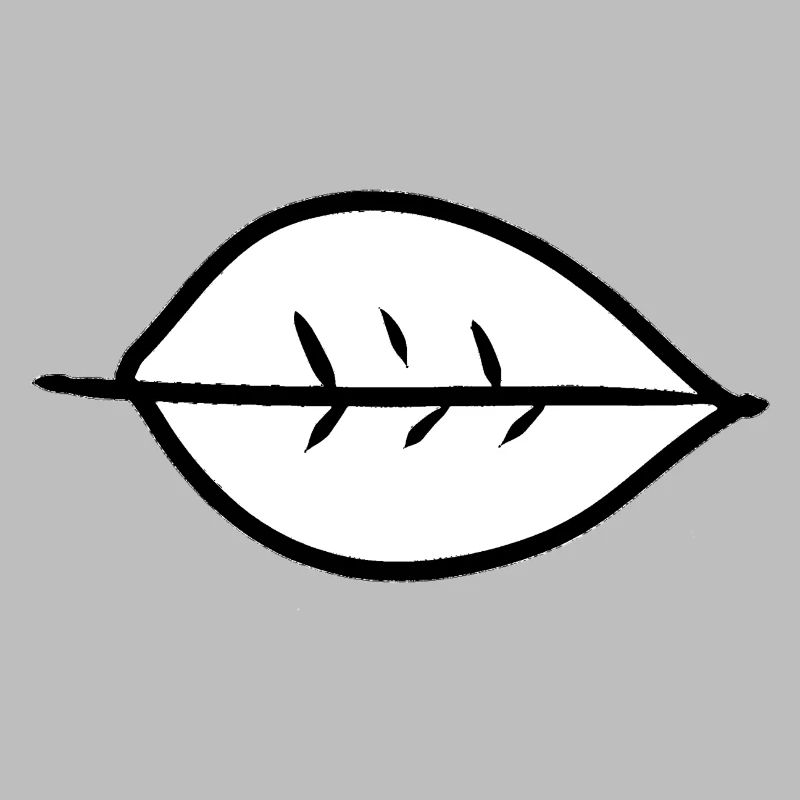 Feuille Symbole Forme Nature