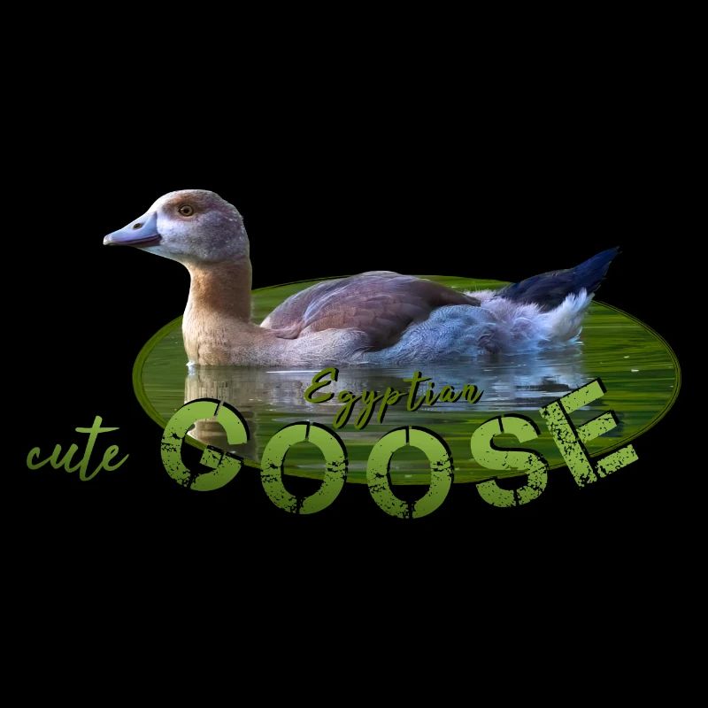 Nilgans Küken Vogel Gans