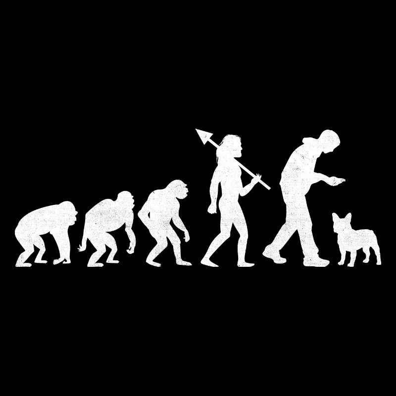 Evolution Bouledogue Français Frenchie Dog Lover Bulldo