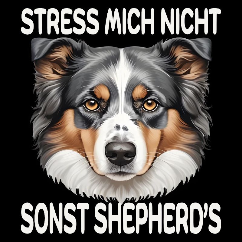 Australian Shepherd Stress mich nicht