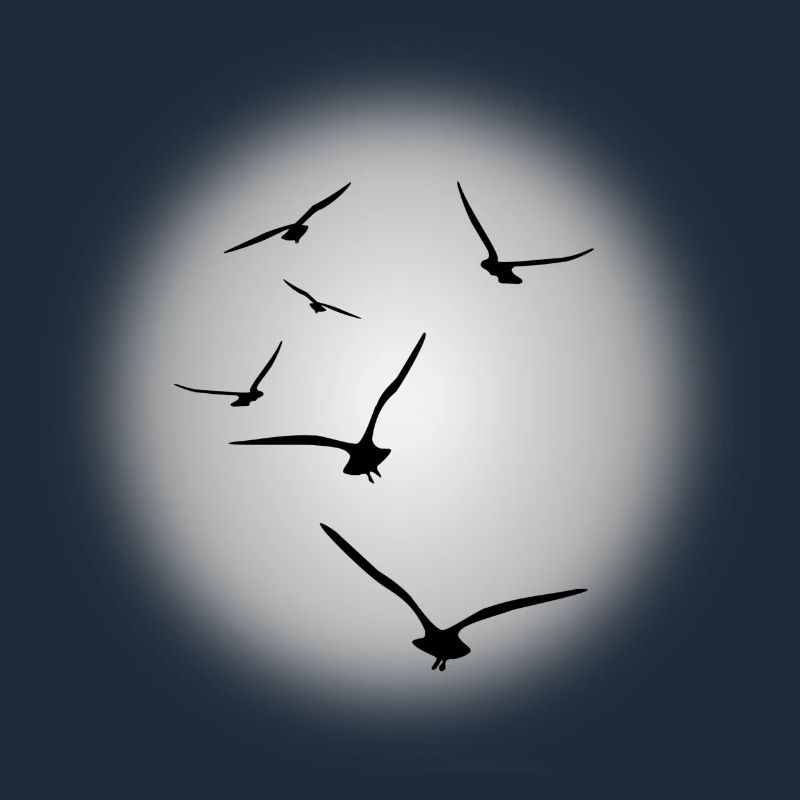 Flug der Vögel