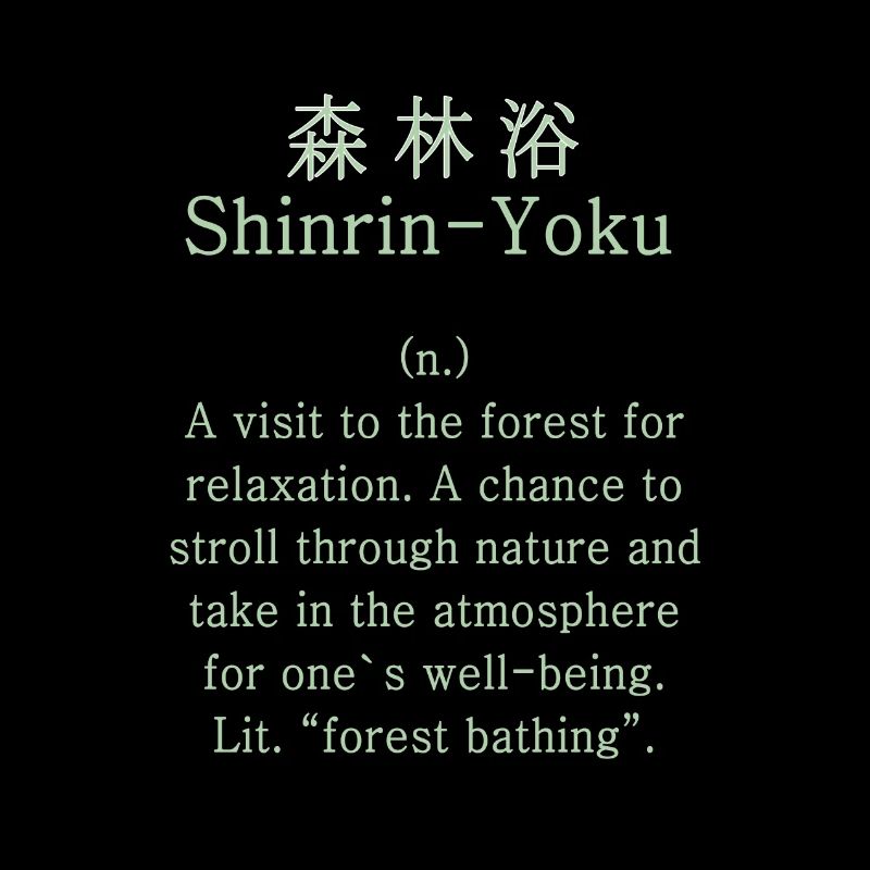 Shinrin-Yoku Japan Forest Bathing Forest Nature Gift