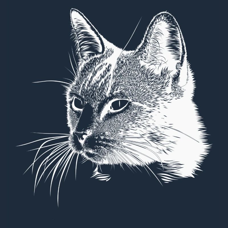 Tête de chat - Blanc
