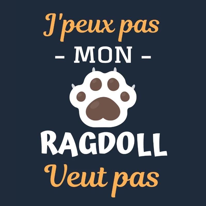 Race de chat ragdoll