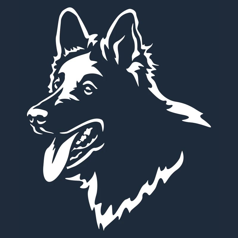 Schweizer Schäferhund Kopf