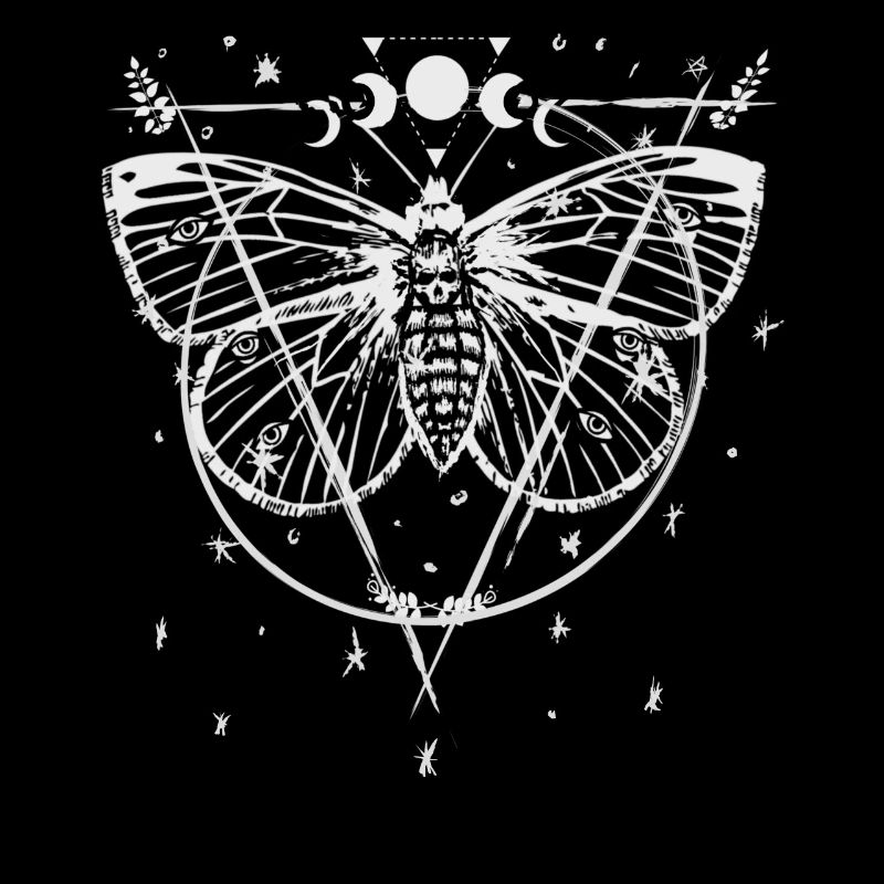 Moth Moon Phases