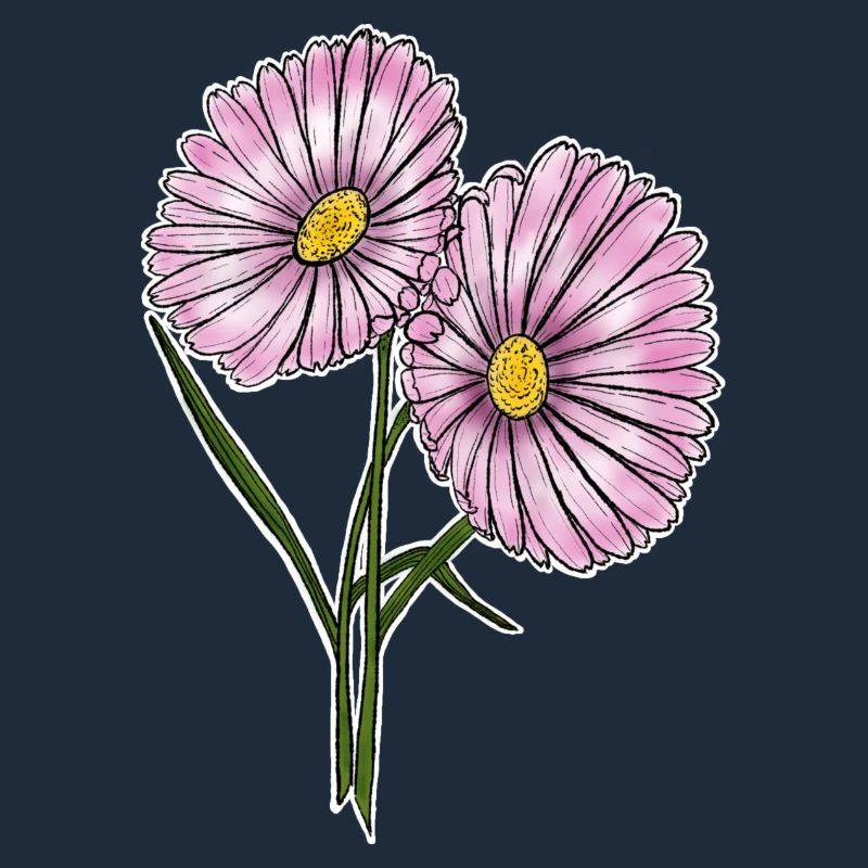 Gänseblümchen