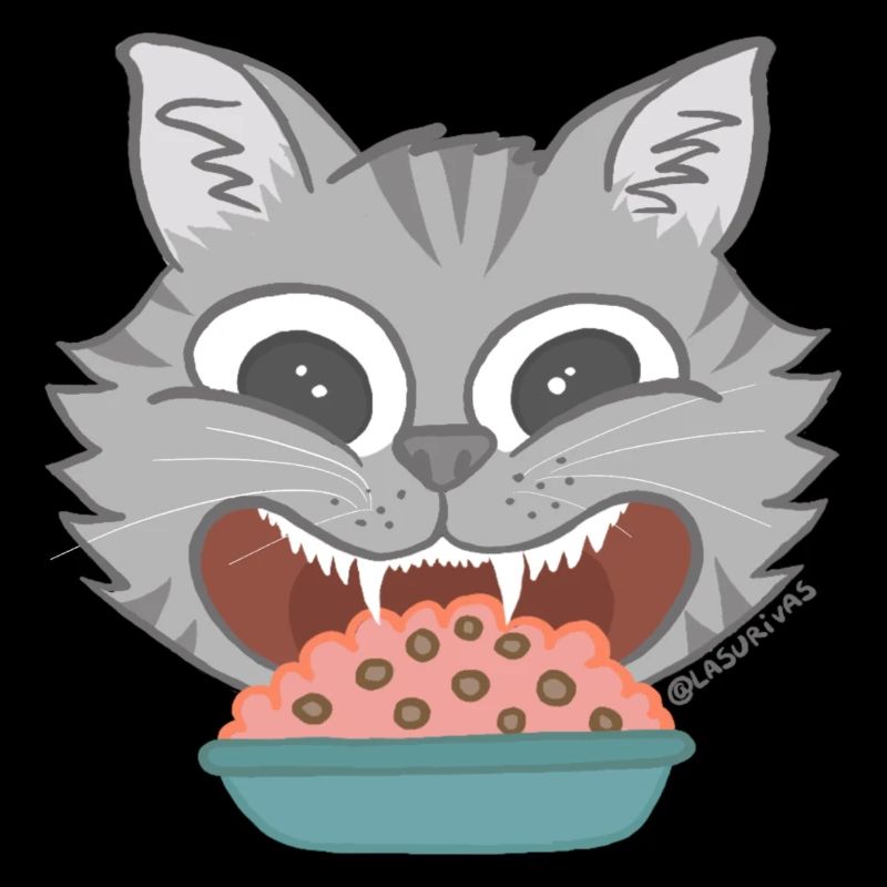 Gato