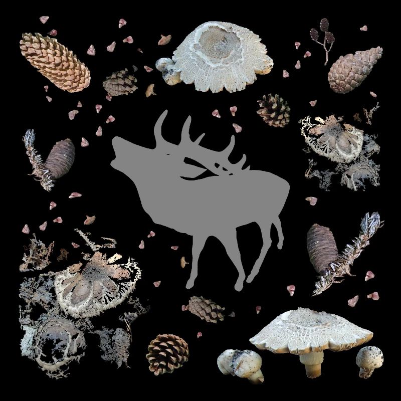 Deer with pine cones and mushrooms