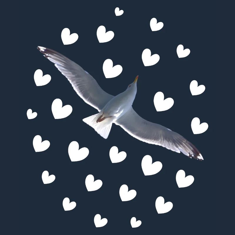 Möwe im Flug frei sein wie ein Vogel