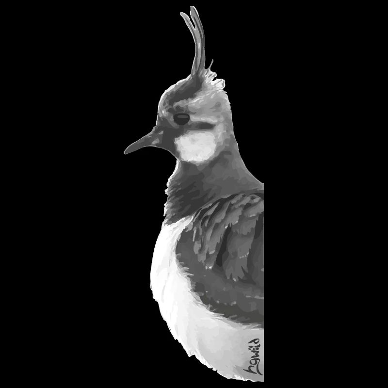 Lapwing Portrait