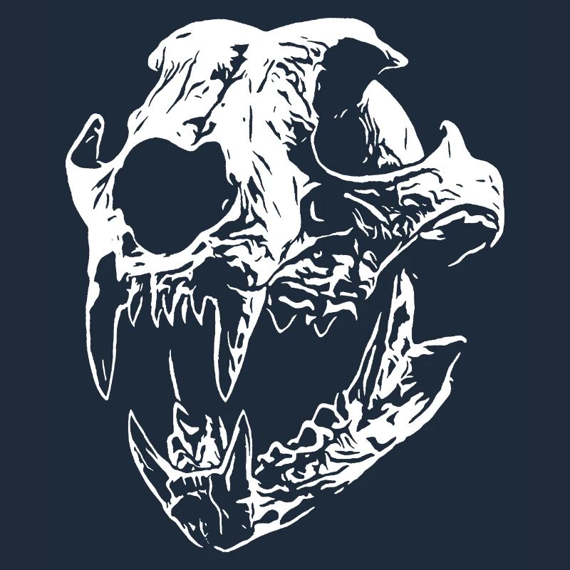 Crâne de Smilodon avec des dents acérées