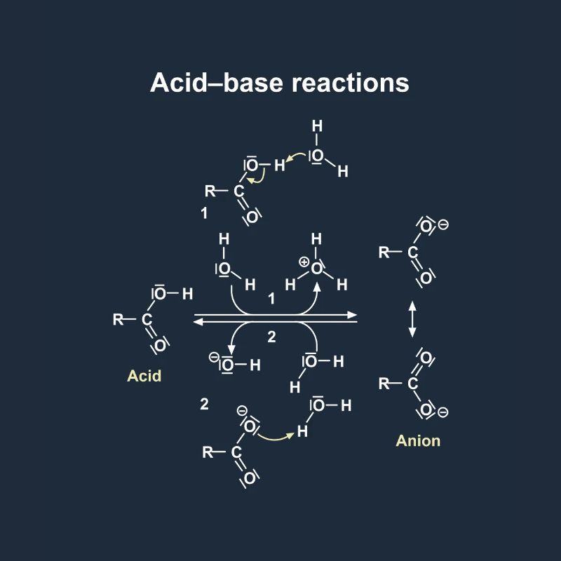 Réactions Acide Base Illustrées