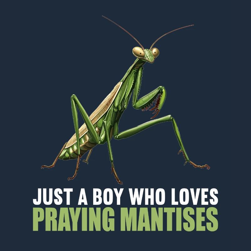 Praying mantises Praying mantis