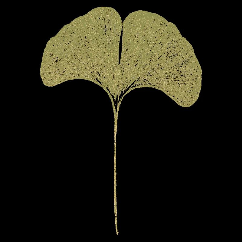 Feuille de ginkgo