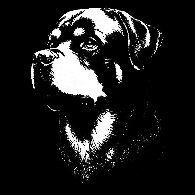 Ausdrucksstarkes Porträt eines Rottweilers