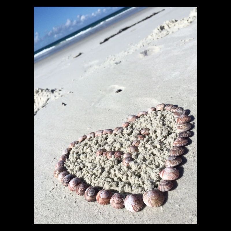Heart of shells on the beach