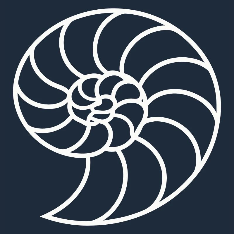 Spirale Nautile Blanche