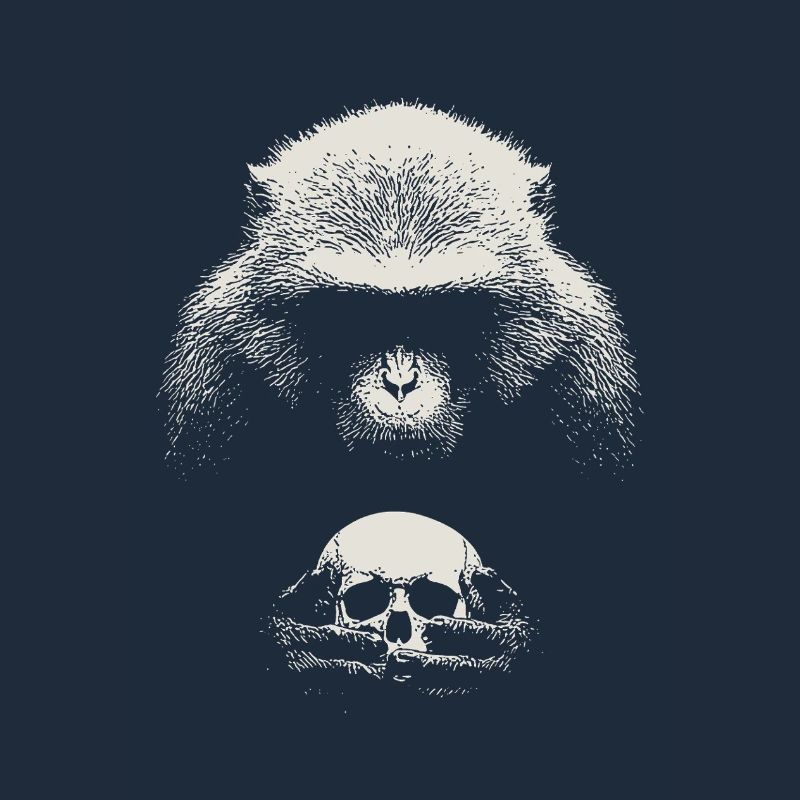 Shakespeare's monkey