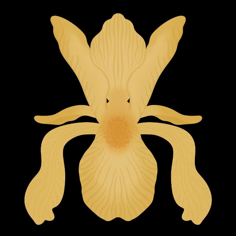 Floraison d’Iris doré
