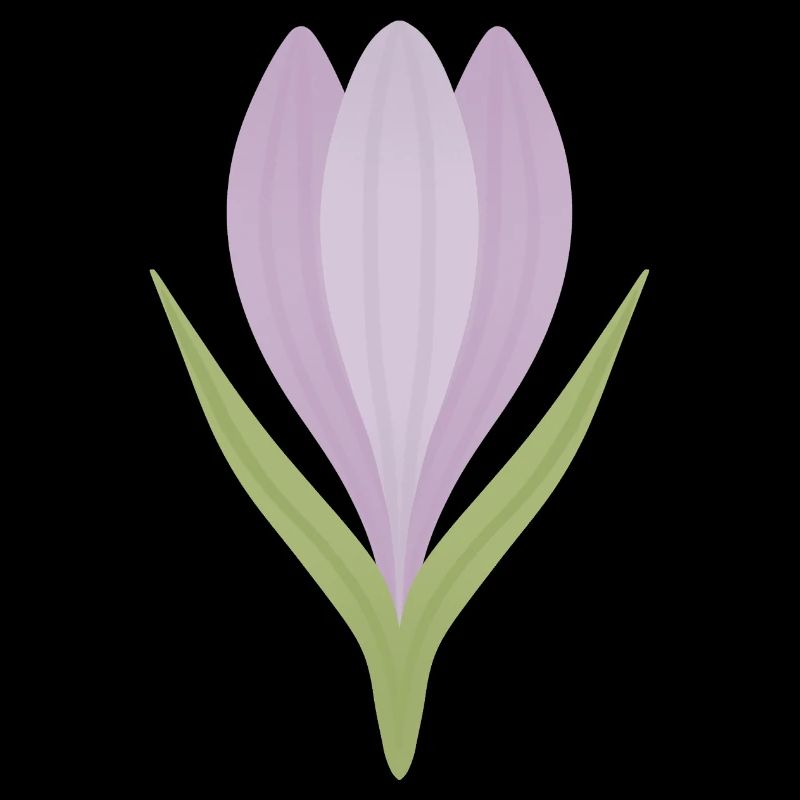 Illustration de la fleur de crocus lilas