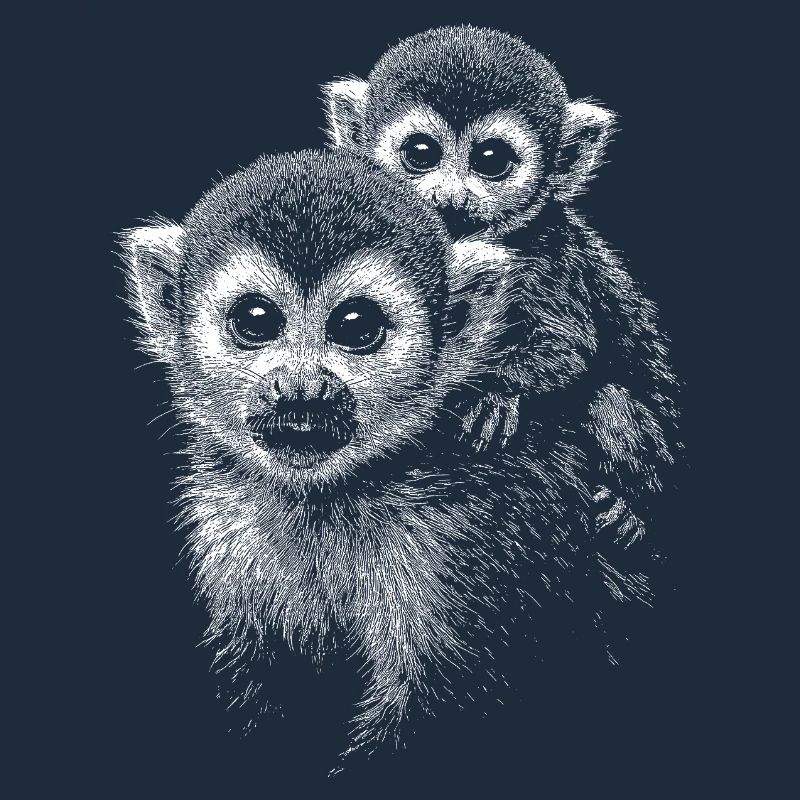 Squirrel monkey