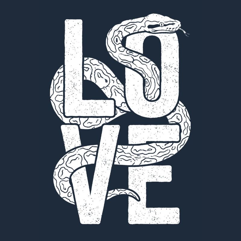 Les serpents rois Python ADORENT les pythons de terrarium