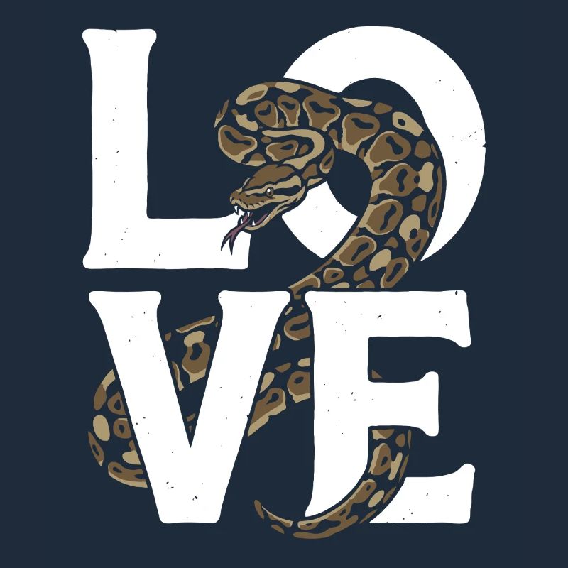 Les serpents rois Python ADORENT les pythons de terrarium