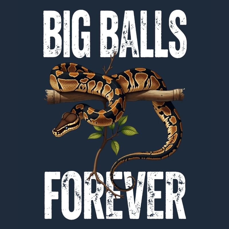 Python roi Serpents Amateurs de terrarium Python