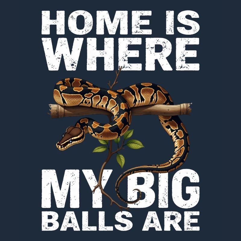 Königspython Schlangen Liebhaber Terrarium Python