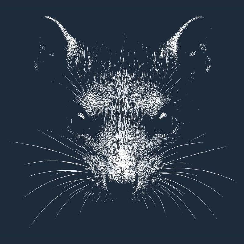 Rat