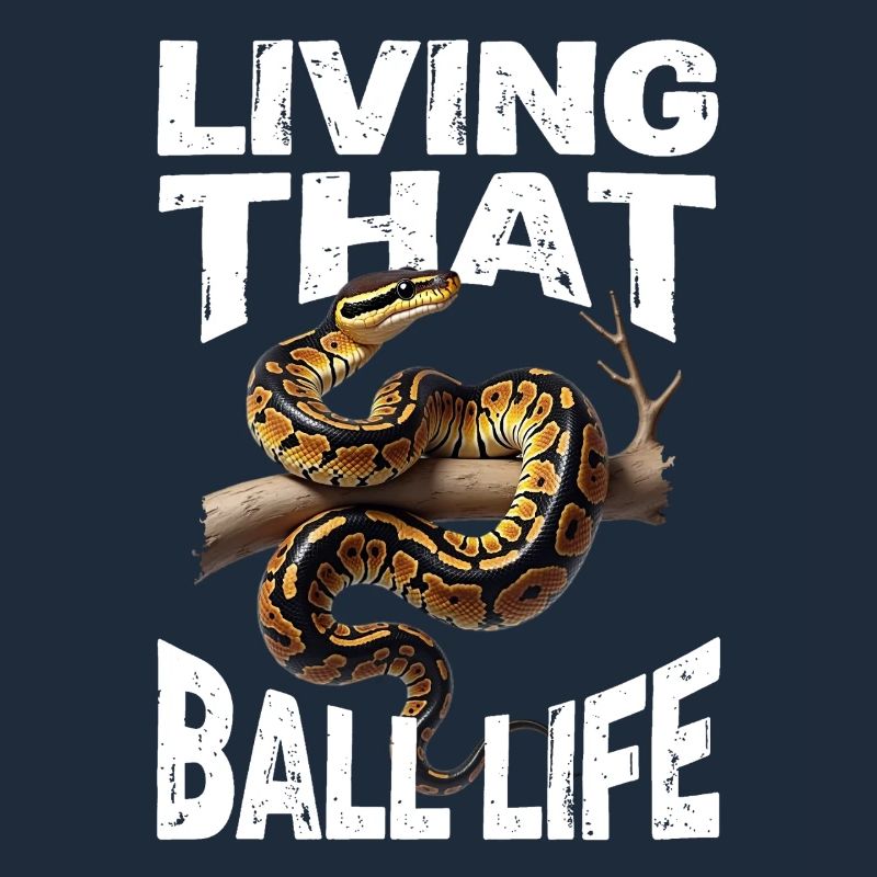 Königspython Schlangen Liebhaber Terrarium Python