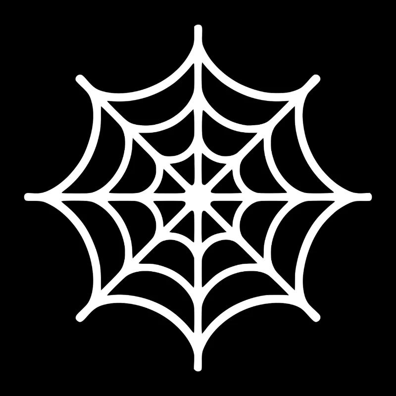 Spider Web Spider