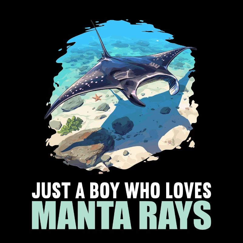 Rays Manta Rays