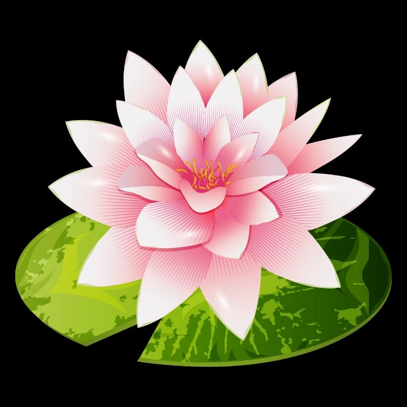 nénuphar brillant avec pétale de nénuphar vert