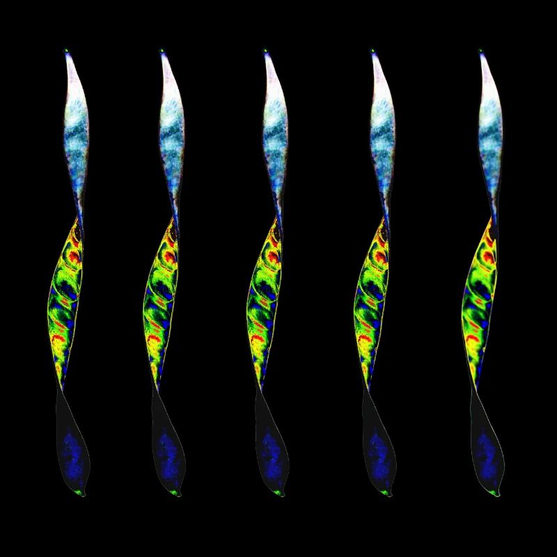 twisted pair