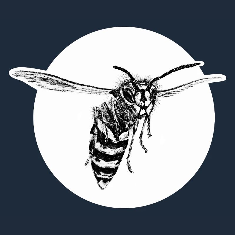 Wasp - Bee - Insect