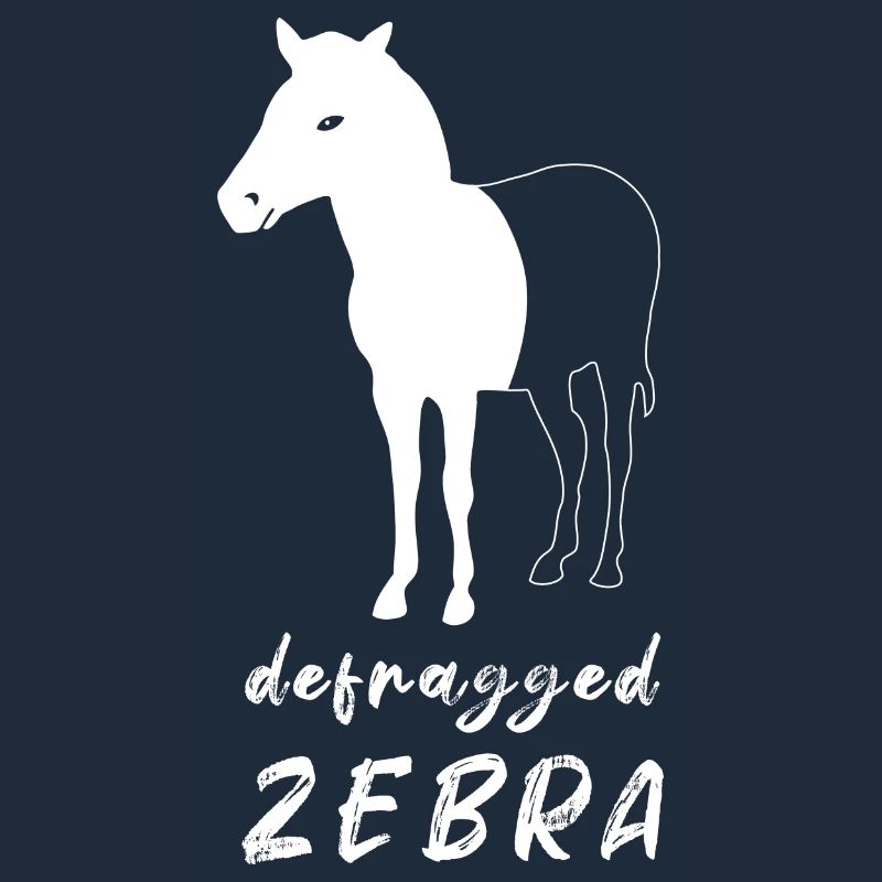 Defragged Zebra Computer Scientist Admin Geek Gift
