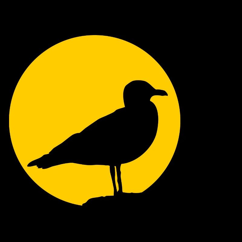 Mouette devant le soleil