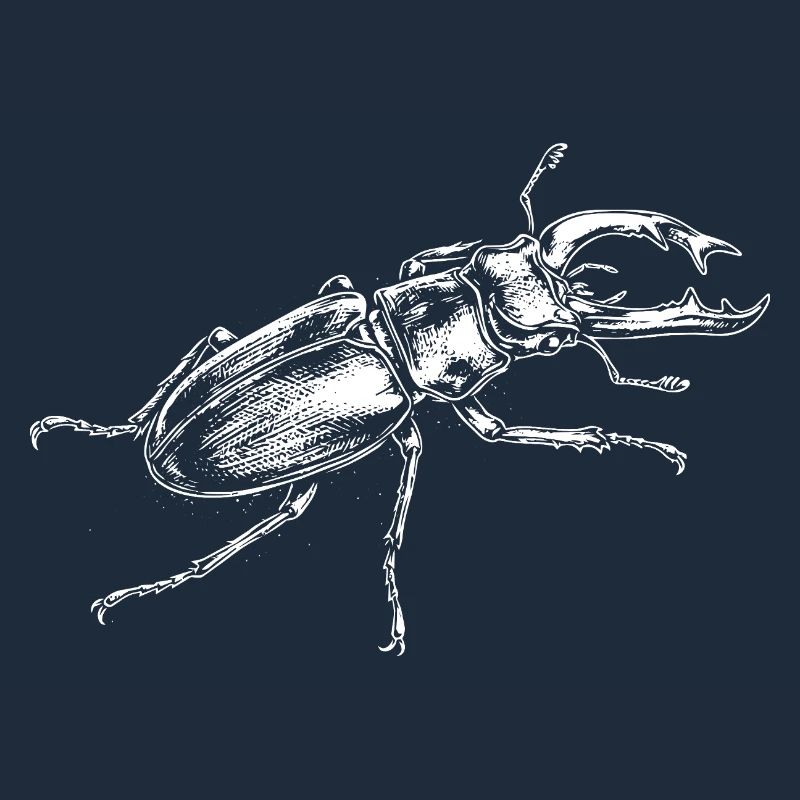 Conception de gros insectes