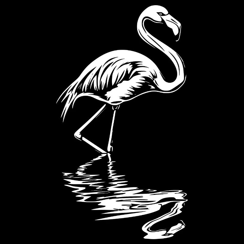 Flamingo Refelktion Sommer Strand Sonne Tropical