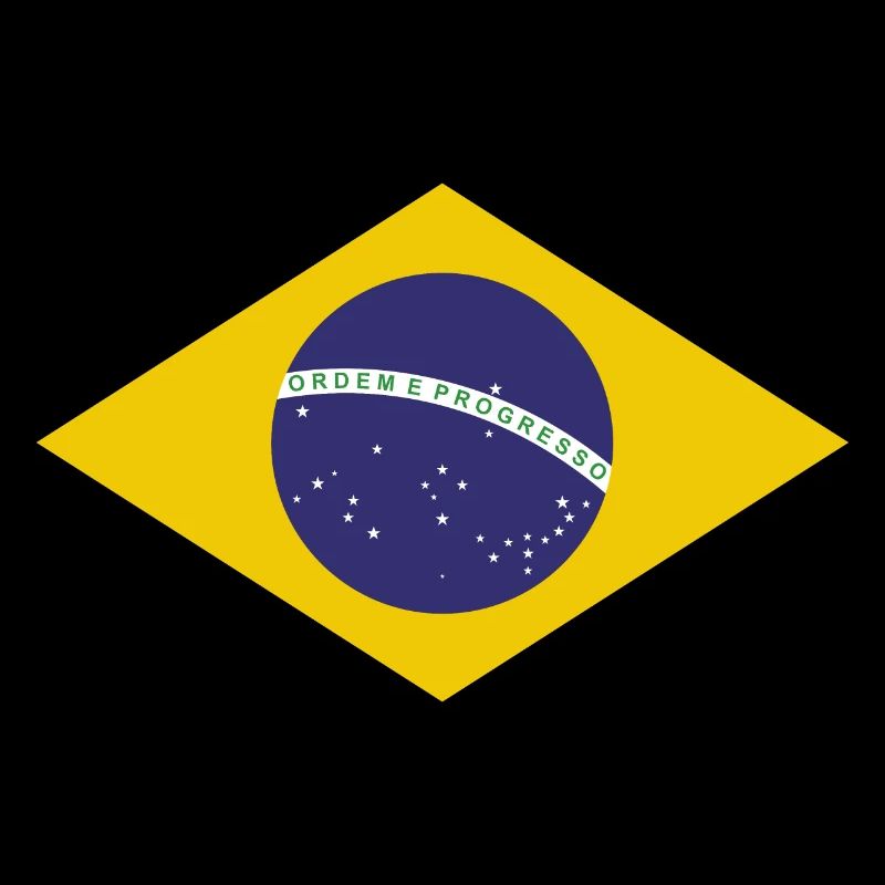 Brasilia Flag