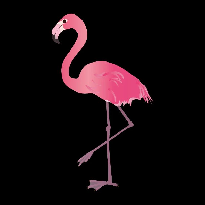 Rosa Flamingo