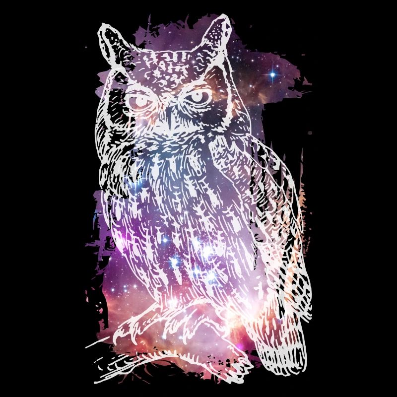 The Cosmic Owl