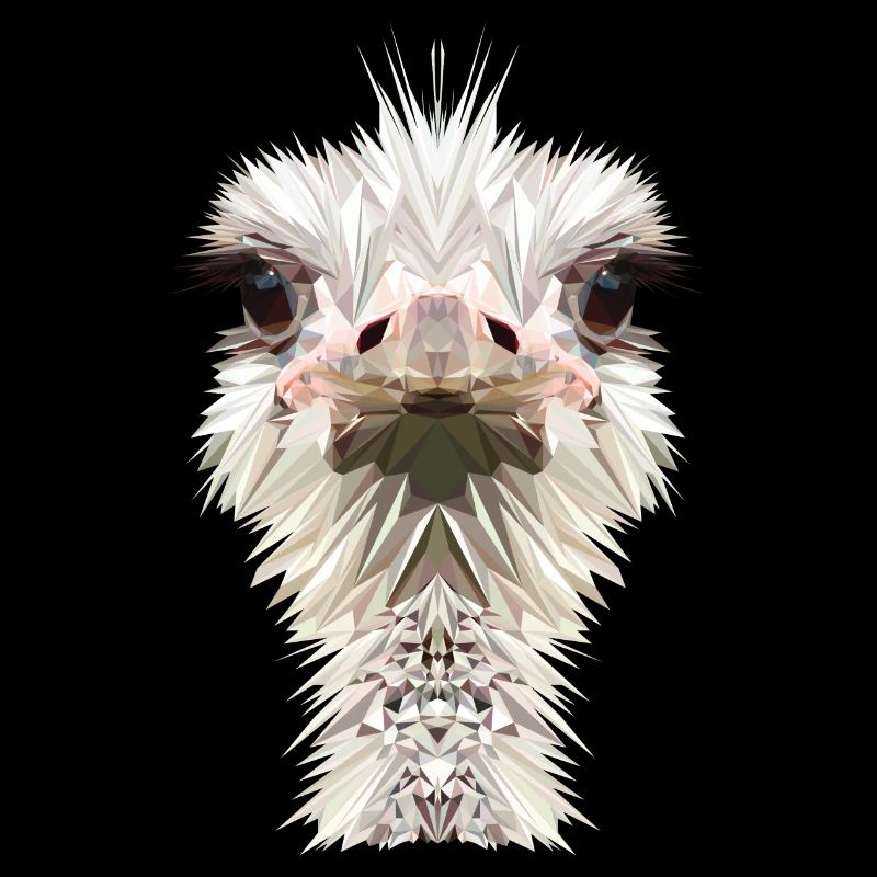 Ostrich