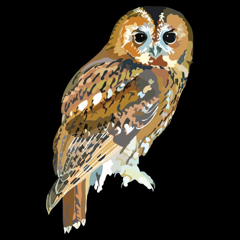 Waldkauz