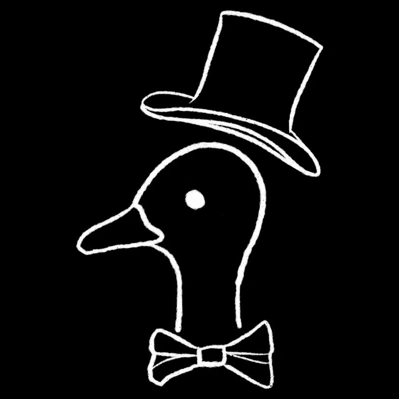 Duck with hat