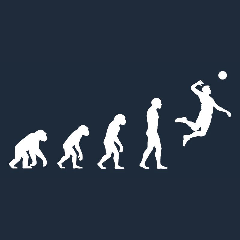 Evolution volleyball 
