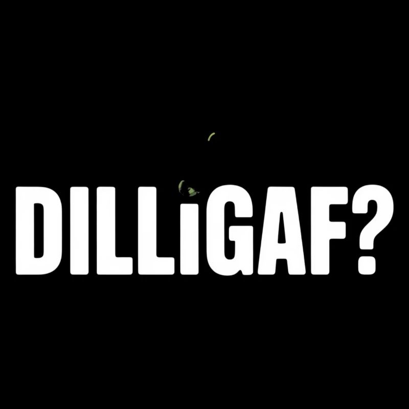 DILLIGAF Humor Saying Sarcasm Statement